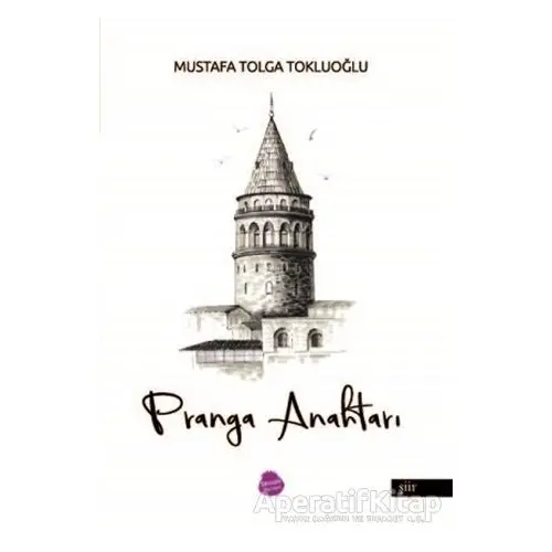 Pranga Anahtarı - Mustafa Tolga Tokluoğlu - Sinada Kitap