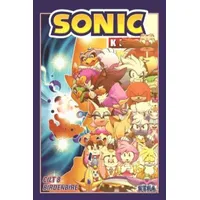 Kirpi Sonic Cit 8 – Birdenbire - Ian Flynn - Presstij Kitap