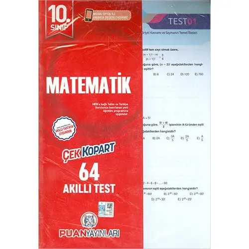 Puan 10.Sınıf Matematik Yaprak Test