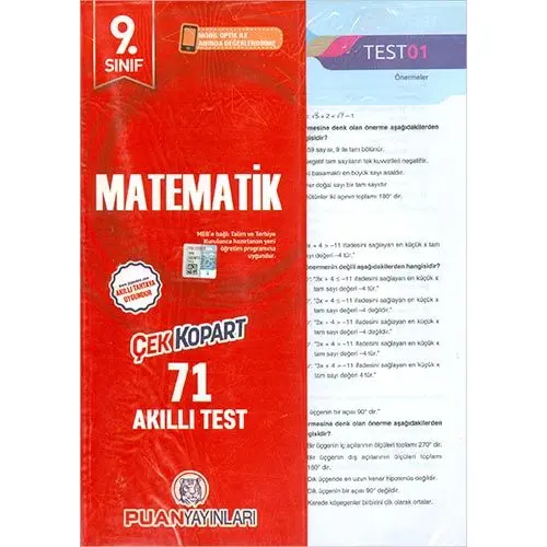 Puan 9.Sınıf Matematik Yaprak Test