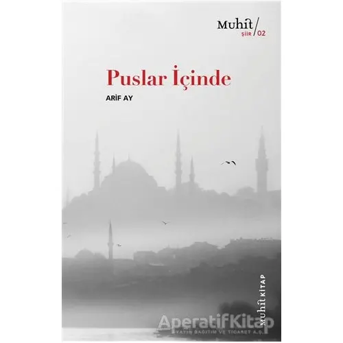 Puslar İçinde - Arif Ay - Muhit Kitap