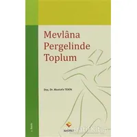 Mevlana Pergelinde Toplum - Mustafa Tekin - Rağbet Yayınları