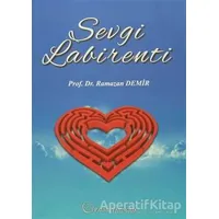 Sevgi Labirenti - Ramazan Demir - Palme Yayıncılık