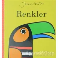 Renkler - Jane Foster - Redhouse Kidz Yayınları