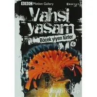 Vahşi Yaşam 2 - Böcek Yiyen Türler - Rob Hume - Boyut Yayın Grubu