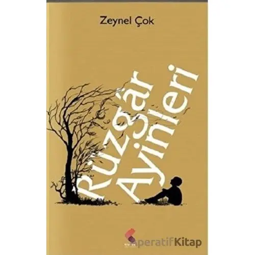 Rüzgar Ayinleri - Zeynel Çok - Klaros Yayınları