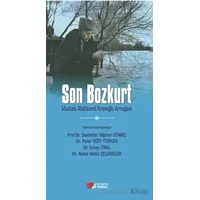 Son Bozkurt - Saadettin Yağmur Gömeç - Berikan Yayınevi