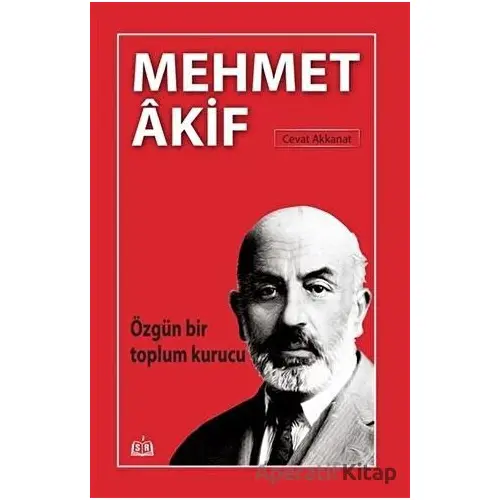 Safa’ya Mektuplar - Ahmet Efe - SR Yayınevi