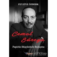 Cemal Süreya: Papirüs Düşçüsüyle Buluşma - Feyziye Özberk - Boyalıkuş Yayınları