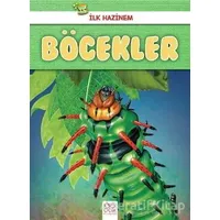 Böcekler - İlk Hazinem - Denise Ryan - 1001 Çiçek Kitaplar