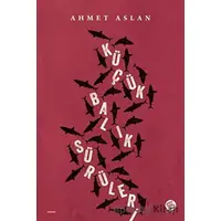 Küçük Balık Sürüleri - Ahmet Aslan - Sahi Kitap