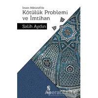 Kötülük Problemi ve İmtihan - Salih Aydın - İnsan Yayınları