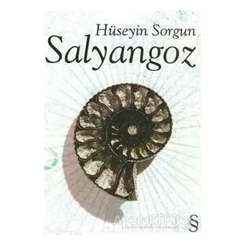 Salyangoz - Hüseyin Sorgun - Everest Yayınları