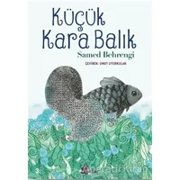 Küçük Kara Balık - Samed Behrengi - Çınar Yayınları