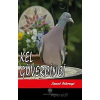 Kel Güvercinci - Samed Behrengi - Platanus Publishing