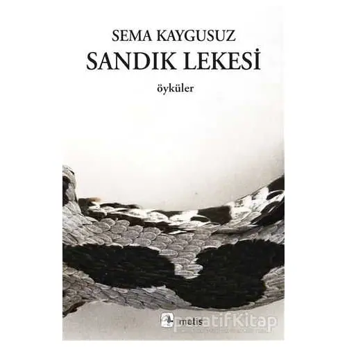 Sandık Lekesi - Sema Kaygusuz - Metis Yayınları