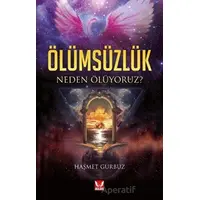 Ölümsüzlük - Haşmet Gürbüz - İkilem Yayınevi