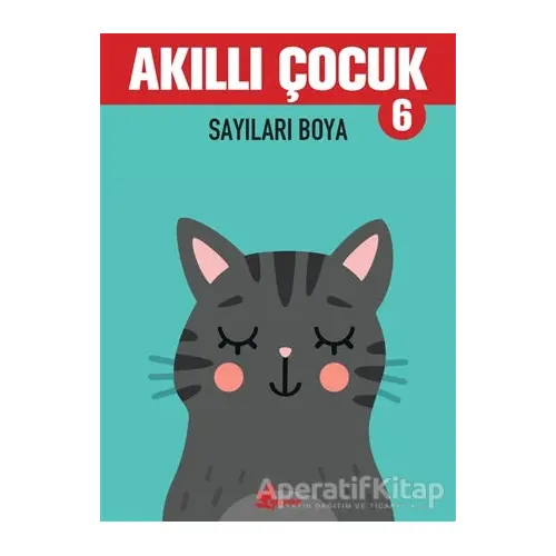 Sayıları Boya - Akıllı Çocuk 6 - Kolektif - Çınar Yayınları