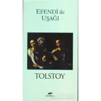 Efendi ile Uşağı - Lev Nikolayeviç Tolstoy - Mutena Yayınları