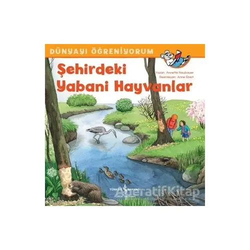 Şehirdeki Yabani Hayvanlar - Dünyayı Öğreniyorum - Annette Neubauer - İş Bankası Kültür Yayınları