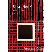 Sanat Nedir - Arthur C. Danto - Sel Yayıncılık