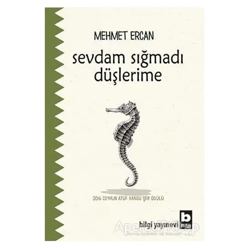 Sevdam Sığmadı Düşlerime - Mehmet Ercan - Bilgi Yayınevi