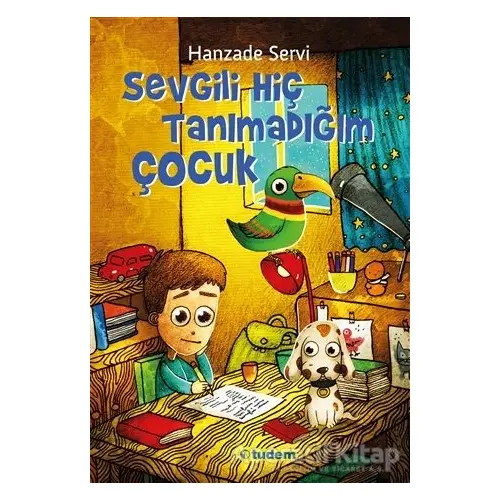 Sevgili Hiç Tanımadığım Çocuk - Hanzade Servi - Tudem Yayınları