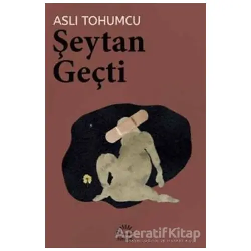 Şeytan Geçti - Aslı Tohumcu - İletişim Yayınevi