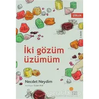 İki Gözüm Üzümüm - Necdet Neydim - Günışığı Kitaplığı