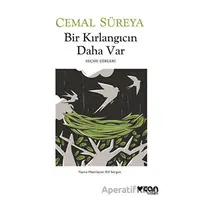 Bir Kırlangıcın Daha Var - Cemal Süreya - Can Yayınları