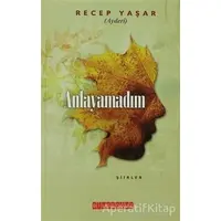 Anlayamadım - Recep Yaşar - Bilgeoğuz Yayınları