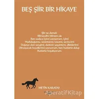 Beş Şiir Bir Hikaye - Metin Karatay - Sokak Kitapları Yayınları