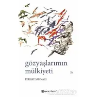 Gözyaşlarımın Mülkiyeti - Ferhat Şahnacı - Epsilon Yayınevi