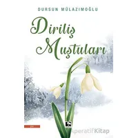 Diriliş Muştuları - Dursun Mülazımoğlu - Çınaraltı Yayınları