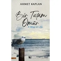 Bir Tutam Ömür - Ahmet Kaplan - Çınaraltı Yayınları