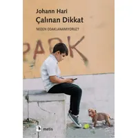 Çalınan Dikkat - Neden Odaklanamıyoruz? - Johann Hari - Metis Yayıncılık