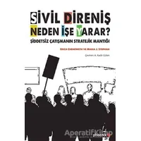 Sivil Direniş Neden İşe Yarar? - Erica Chenoweth - Phoenix Yayınevi