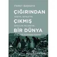 Çığırından Çıkmış Bir Dünya - Fikret Başkaya - Yordam Kitap