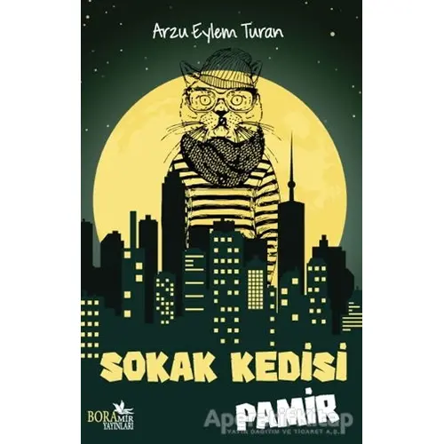 Sokak Kedisi Pamir - Arzu Eylem Turan - Boramir Yayınları