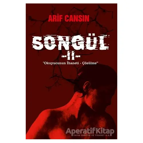 Songül - 2 - Arif Cansın - Sokak Kitapları Yayınları