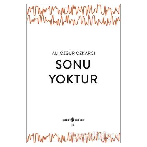 Sonu Yoktur - Ali Özgür Özkarcı - Edebi Şeyler