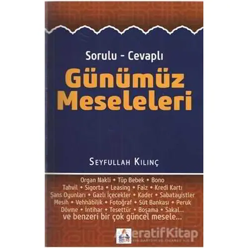 Sorulu - Cevaplı Günümüz Meseleleri - Seyfullah Kılınç - Sonçağ Yayınları