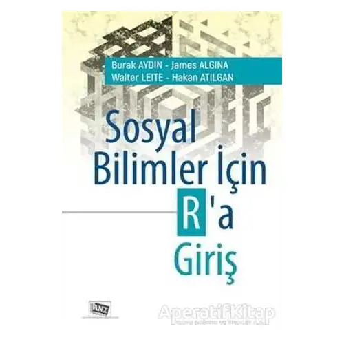 Sosyal Bilimler İçin Ra Giriş - Walter Leite - Anı Yayıncılık