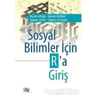 Sosyal Bilimler İçin Ra Giriş - Walter Leite - Anı Yayıncılık