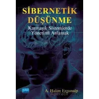 Sibernetik Düşünme Karmaşık Sistemlerde Yönetimi Anlamak