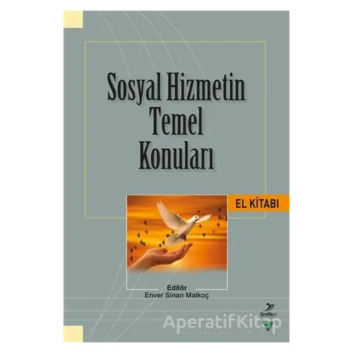 Sosyal Hizmetin Temel Konuları El Kitabı - Recep Çelik - Grafiker Yayınları