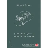 Çırpınıp İçinde Döndüğüm Dünya - Şükrü Erbaş - Kırmızı Kedi Yayınevi