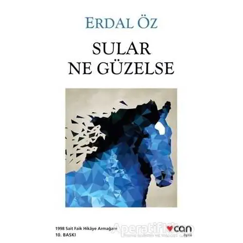 Sular Ne Güzelse - Erdal Öz - Can Yayınları