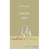 Yarım Ağız Türkü - Ali Seyyah - Şule Yayınları