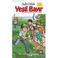 Yeşil Bayır - Sulhi Dölek - Bilgi Yayınevi